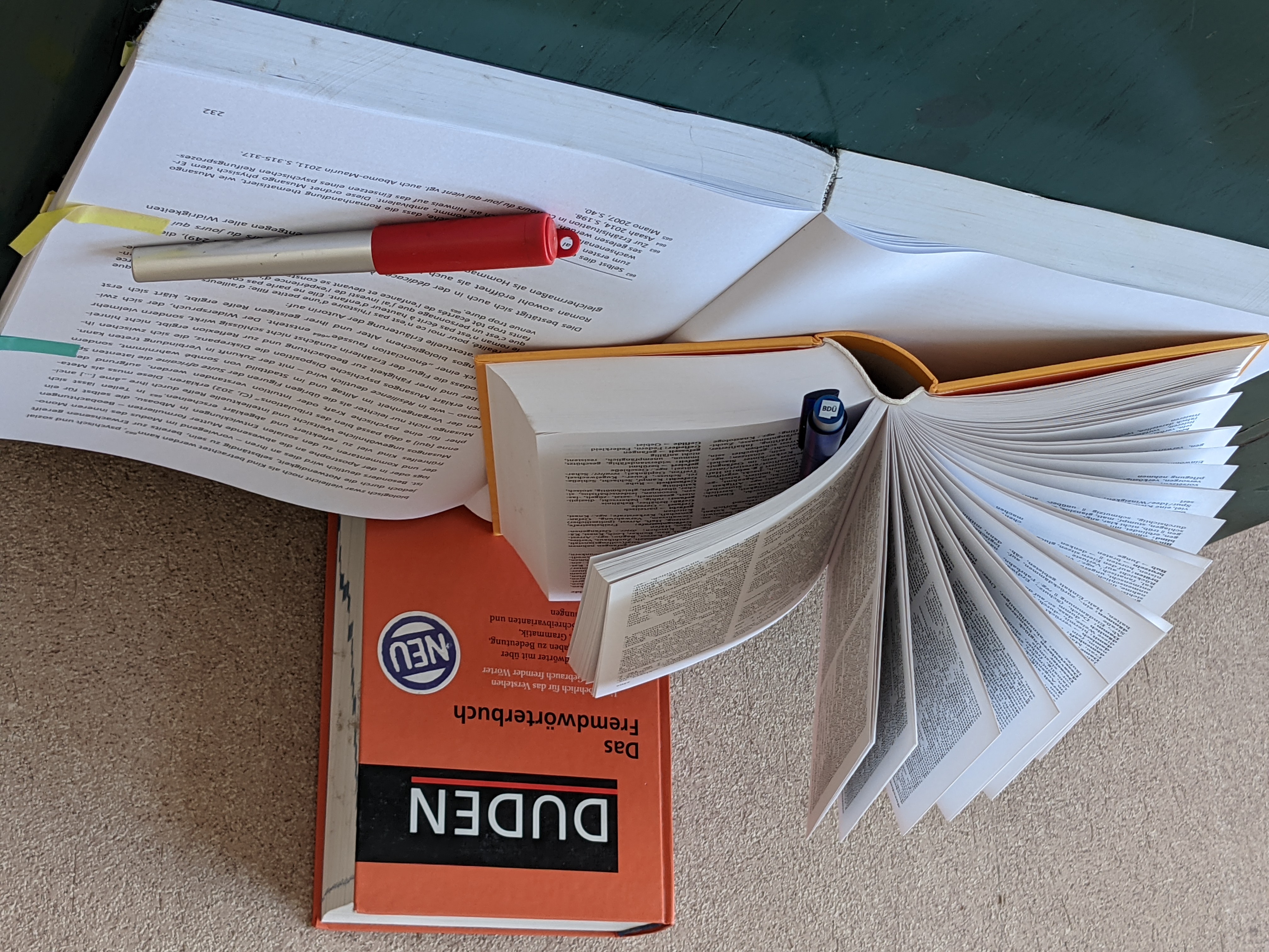 Wissenschaftliches Lektorat © Diana Haußmann